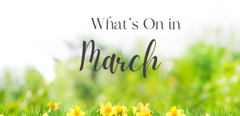 What's On in March! Upcoming events